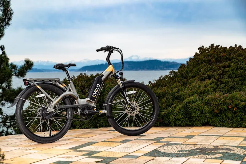 Trek Verve+ 2